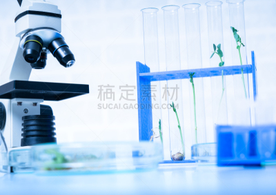 实验室,环境,植物育种,新的,生物学,农业,微生物学,生物化学,转基因,科学实验