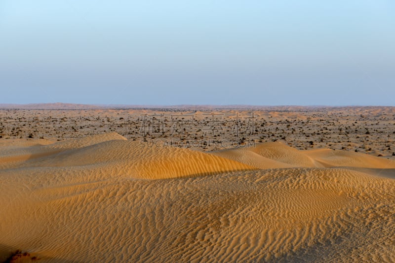 阿曼,沙丘,沙漠,dhofar,empty quarter,半岛,水平画幅,沙子,无人,户外