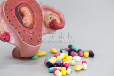健康保健,模型,胚胎,动物胎儿,教室,莫尔德,烟曲霉菌,细菌垫,青霉菌,琼脂