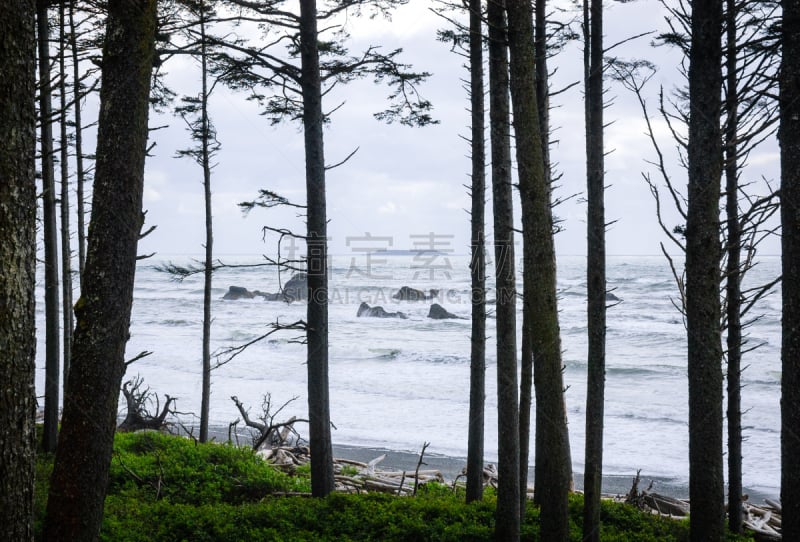 太平洋海岸,鲁比海滩,国际生物圈保护区,奥林匹克山,奥林匹克山脉,水平画幅,沙子,无人,户外,世界遗产