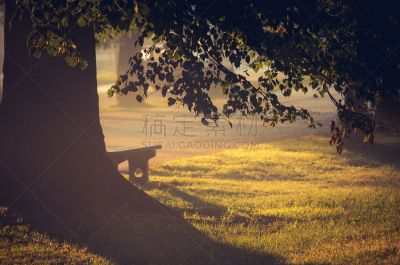 早晨,巷,克拉科夫,波兰,田地,雾,公园,草地,长椅,水平画幅