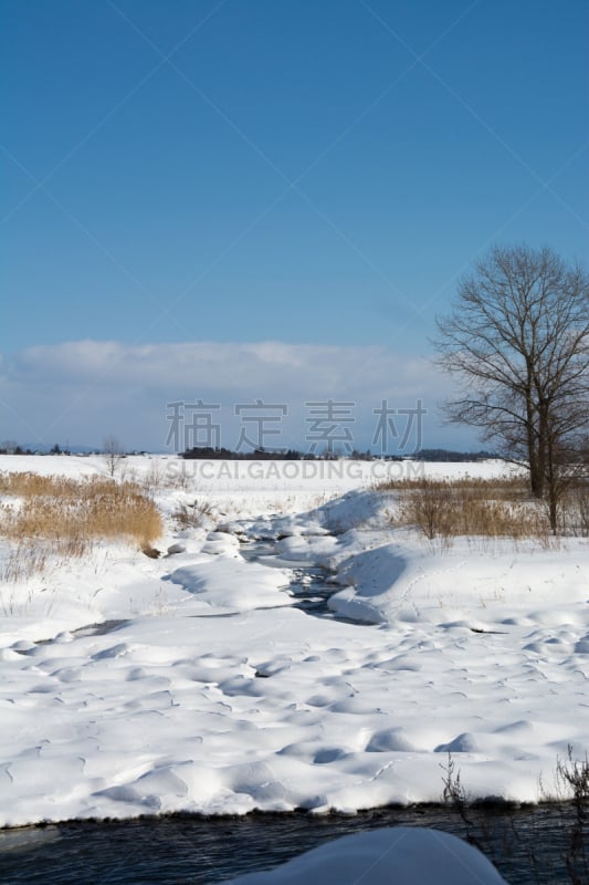 河流,天空,冬天,青绿色,贺卡,云,雪,芒草,深雪,背景