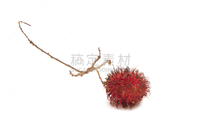 红毛丹,分离着色,亚洲,自然,有机食品,红色,乌克兰,食品,图像,熟的