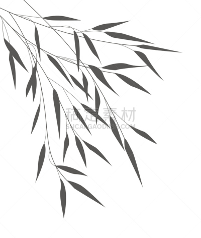 竹子,叶子,矢量,捷克,枝,分离着色,植物茎,灌木,地形,园艺