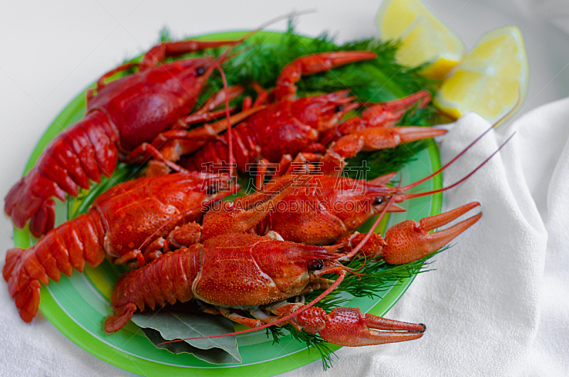 螯虾,煮食,餐馆,莳萝,红色,白色背景,草本,菜单,龙虾派对