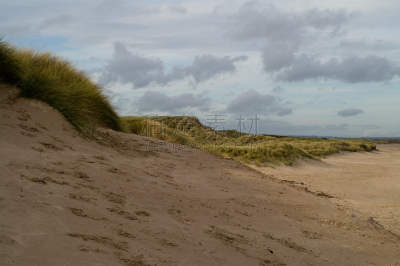 druridge bay,沙丘,滨草,诺森伯兰郡,英格兰东北部,水平画幅,沙子,秋天,无人,英格兰