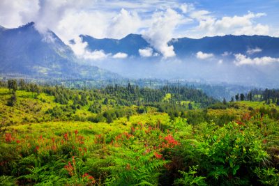 爪哇,火山,婆罗摩火山,印度尼西亚,塞梅鲁火山,bromo-tengger-semeru national park,东爪哇,天空,水平画幅,无人