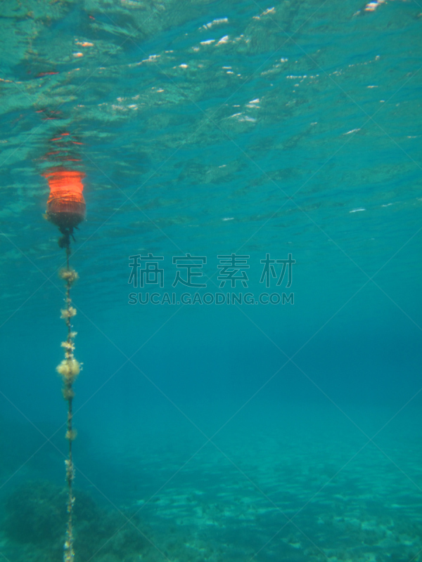 机敏,浮标,标志,古老的,符号,垂直画幅,柯德角,方向标,龙虾浮标