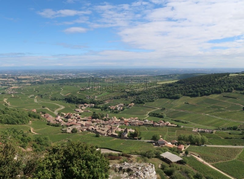 Mâcon wine-growing region