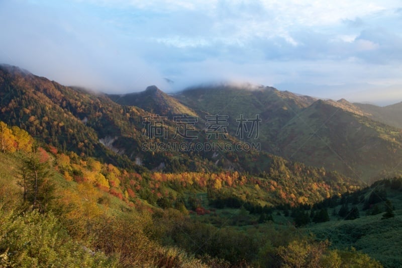 秋天,风景,叶子,自然,季节,长野县,图像,国家公园,美,日光