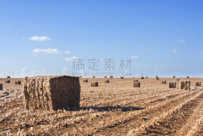 农作物,田地,短马鞭,西部乡村乐,柱状岩石,天空,干草,垒起,干草卷,夏天