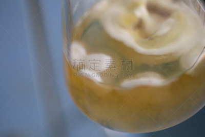 实验室,真菌,烧瓶,显微镜,生物科技,水平画幅,孢子,微生物学,科学实验,科学