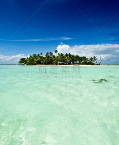 空的,岛,太平洋,鸡尾酒,荒岛,郎伊罗河环礁,鲁宾逊漂流记,坐船遇难的人,波拉波拉,珊瑚岛