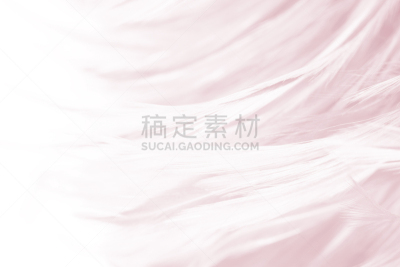 白色,背景,纹理,翎毛,褐色,自然美,波西米亚,孔雀羽毛,复活节,纯净