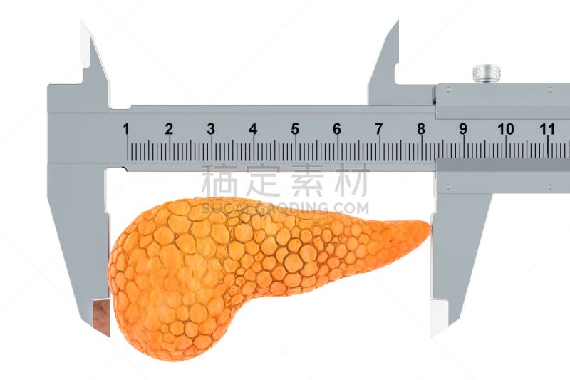 三维图形,概念,药,游标卡尺,胰腺,内分泌系统,人类心脏,胰增血糖素