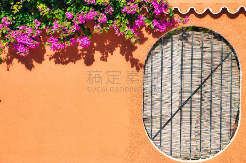 Wall and window decorated with plants and flowers in Los Caños de Meca, Cadiz province, Andalusia, Spain