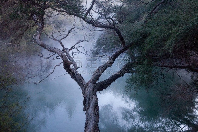 河流,华卡雷瓦雷瓦温泉公园,华卡雷瓦雷瓦,褐色,水平画幅,古老的,户外,湖,怪异,植物