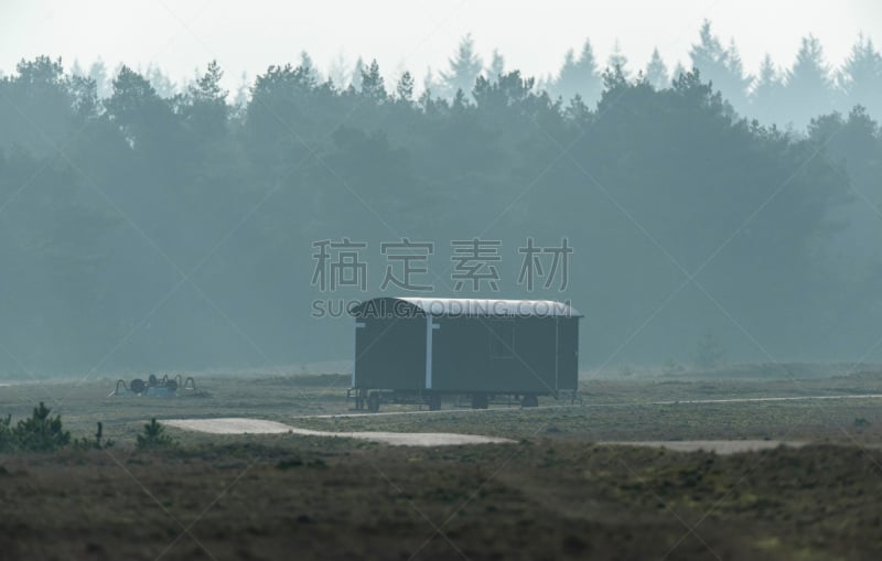 雾,杉树,背景,小屋,自然保护区,建筑业,森林,天空,美,公园