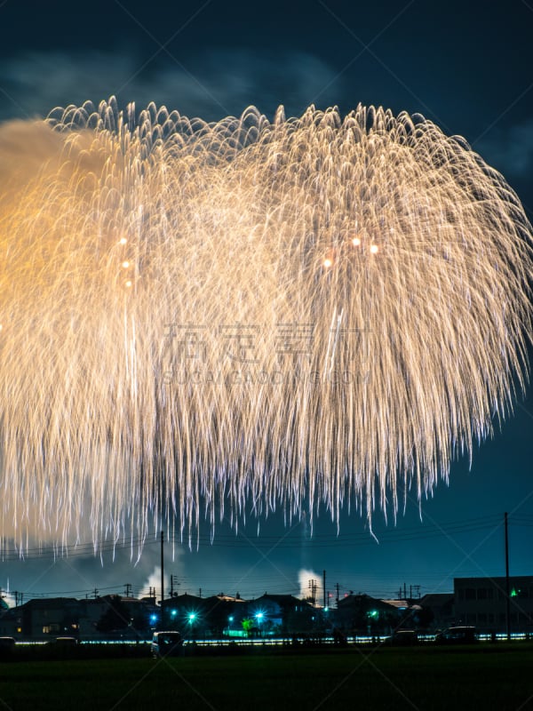 焰火,日本,垂直画幅,天空,新的,信浓川,夜晚,无人,绘画插图,光