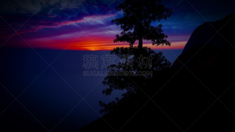 森林,航拍视角,俄亥俄河,阿拉斯加,航空器拍摄视角,波兰,环境,环境保护,加拿大,枝繁叶茂