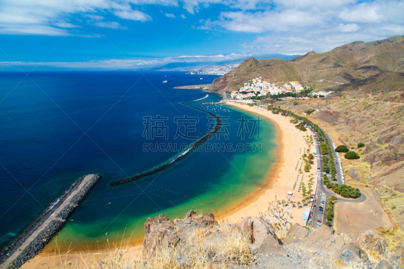 特内里费岛,海滩,岛,风景,热带气候,仙人掌,热带树,户外,北,自然