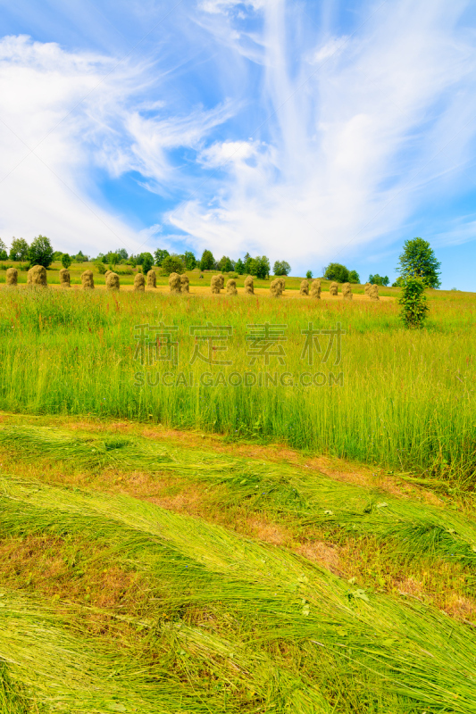 Green field with freshly cut grass in summer landscape of Tatra Mountains, Poland