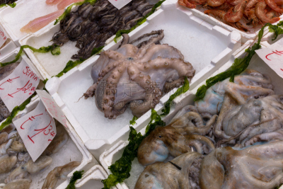 市场,章鱼,水平画幅,宿醉,食品杂货,开胃品,竹荚鱼类,海产,动物身体部位,特写