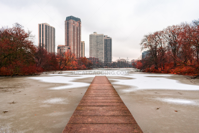 雪,池塘,芝加哥市,林肯公墓,冰,北,码头,城市生活,橙色,空中走廊