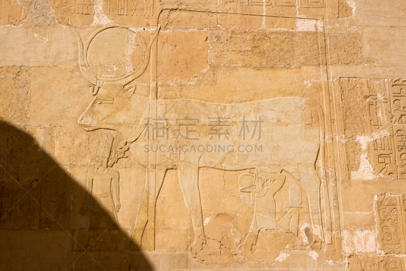 哈西帕苏神殿,鲁克索,水平画幅,建筑,寺庙,非洲,埃及,埃及卢克索,曙暮光,黄昏