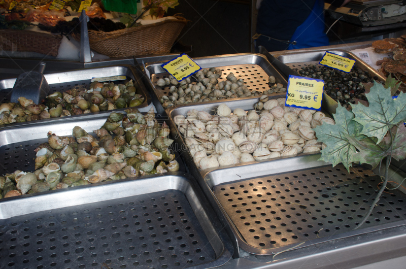 贝壳,食品,待售,自然,饮食,水平画幅,软体动物,水下,海扇壳,海产