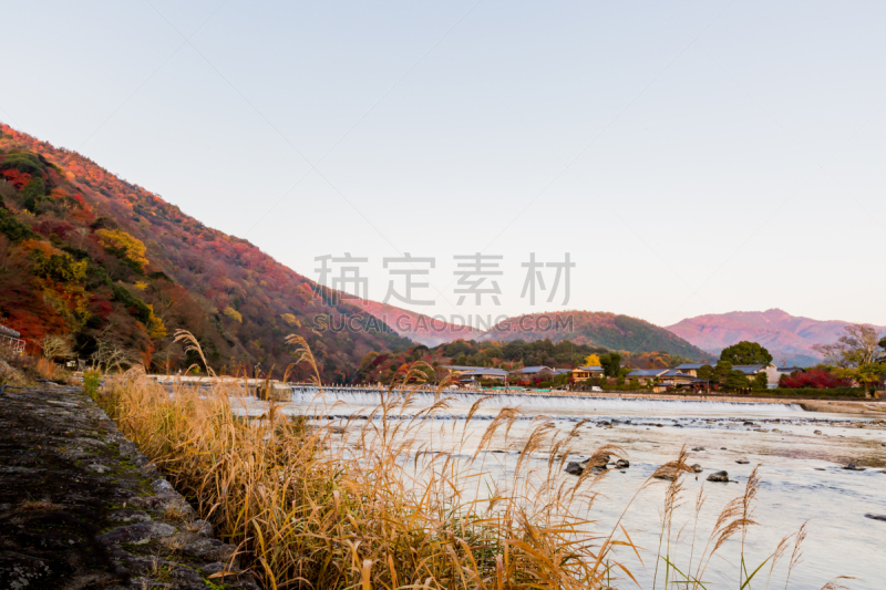 早晨,河流,秋天,叶子,嵯峨野,片山,岚山,城镇景观,京都府,留白