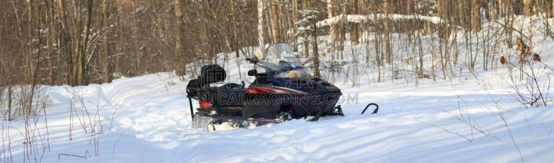 雪上汽车运动,森林,寒冷,运动,安全帽,迅速,霜,雪,加拿大,休闲活动