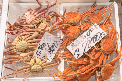 食品,市场,海洋,风景,金泽,蜘蛛蟹,石川县,鱼贩,日本海或东海,北陆地区