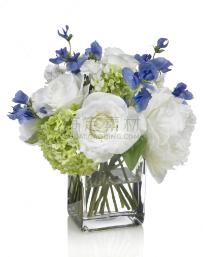 香豌豆,花束,牡丹,白色背景,八仙花属,白色,花瓶,亮色调,垂直画幅,无人