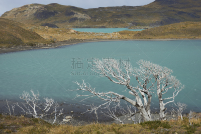 诺登基厄德湖,麦哲伦－智利南极区,百内犄角双峰,潘帕斯大草原,强风,巴塔哥尼亚,水,风,水平画幅,山