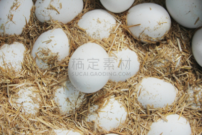 卵,蛋清,自然,饮食,褐色,干草,水平画幅,鸡蛋,无人,有机食品