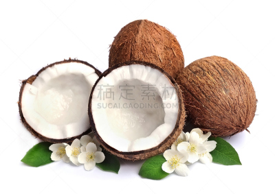 白色,椰子,可可奥斯汀,水平画幅,热带气候,水果,无人,豆荚,花,摄影