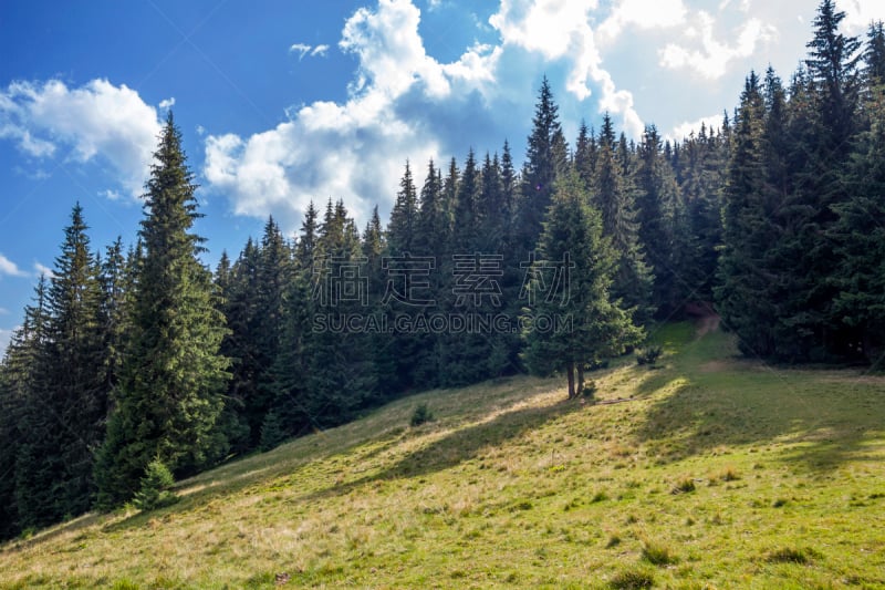 卡帕锡安山脉,山,夏天,风景,地形,全景,日光,绿色,绿山国家森林公园,松树