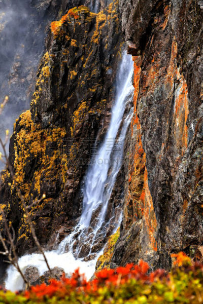 瀑布,非都市风光,挪威,名声,voringsfossen,埃德峡湾,垂直画幅,水,公园,沟壑