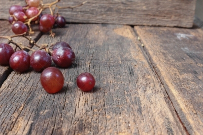 清新,红色,葡萄,白色背景,葡萄酒酿造,葡萄酒,水,葡萄酒厂,水平画幅