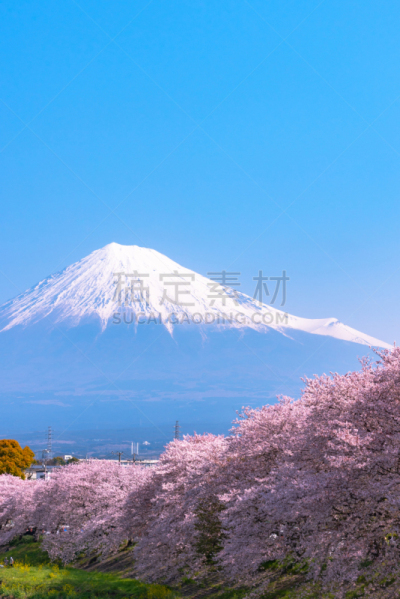 富士山,安静,环境,雪,著名景点,春天,3到4个月,深雪,户外,天空