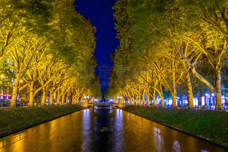 杜赛尔多夫,夜晚,德国,横截面,华贵,环境保护,海峡,林荫路,巷,现代