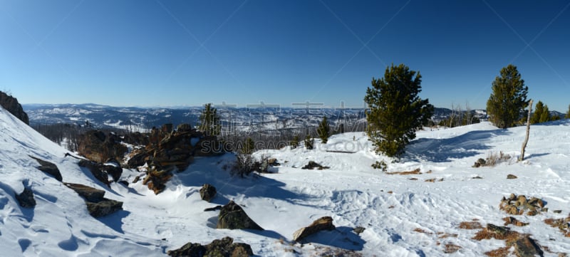 山,冬天,温彻斯特山,山地滑板,泰山,尤因塔山系,山梨树,山路,山口,树