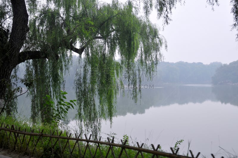 湖,北京大学,自然,水,宁静,湖岸,水平画幅,绿色,无人,中国东北部