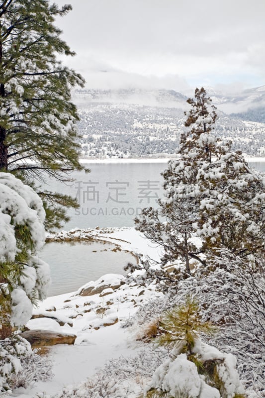 冬天,桨叉架船,山谷,垂直画幅,水,天空,松树,寒冷,宁静,湖岸