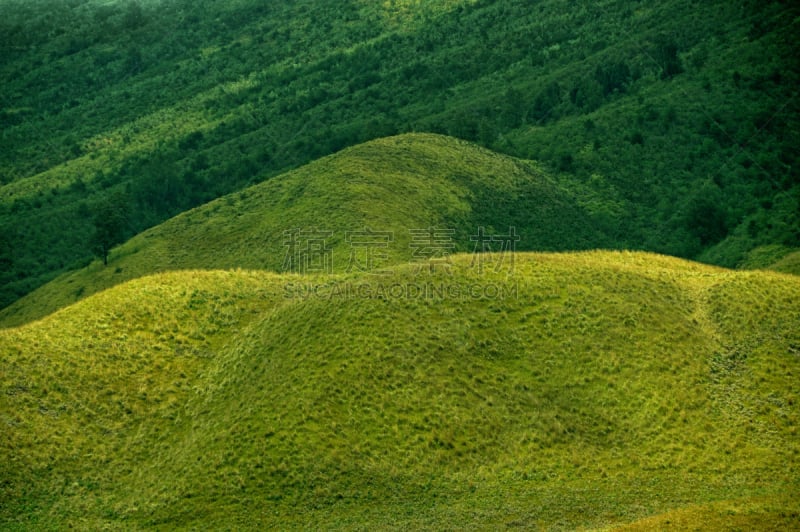 绿色,地形,草原,婆罗摩火山,bromo-tengger-semeru national park,东爪哇,草地,爪哇,水平画幅,无人