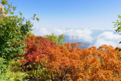 秋天,叶子,白马岳,飞驒山脉,长野县,天空,美,里山,休闲活动,水平画幅