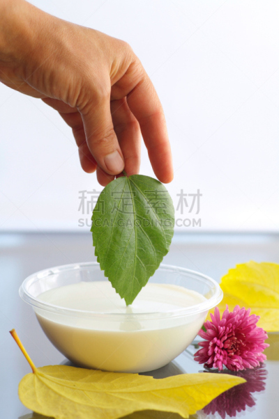 垂直画幅,美,彩妆,湿,化妆用品,开着的,润肤露,容器,植物,清新