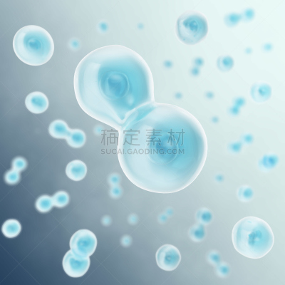 人体细胞,科学,三维图形,细胞,两只动物,绘画插图,液泡,干细胞,胚胎,细胞核