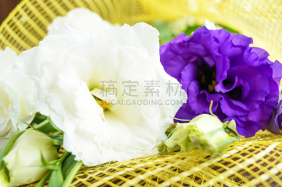 lisianthus,紫色,清新,仅一朵花,白色,自然,水平画幅,栀子,正上方视角,装饰物